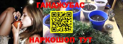 ПСИЛОЦИБИНОВЫЕ ГРИБЫ Ирбит