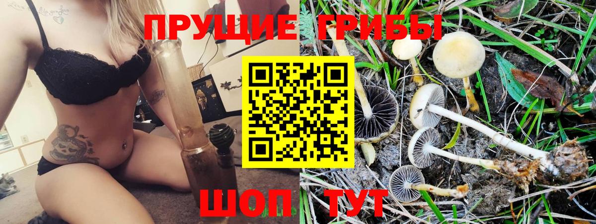 Лыткарино  Галлюциногенные грибы прущие грибы  где найти   Псилоцибиновые грибы мицелий  Вход с VPN 