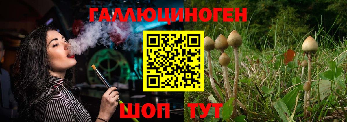 Галлюциногенные грибы прущие грибы Лыткарино